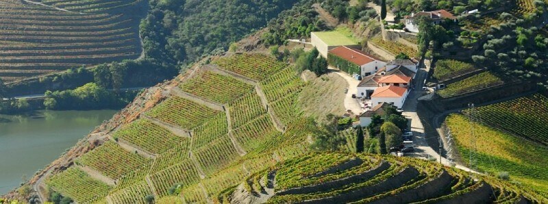 Quinta do Crasto